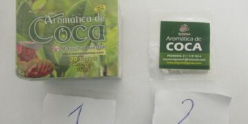 Туристке, которая привезла в Россию из Колумбии фиточай из коки, грозит срок до 7 лет