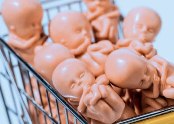 В Москве задержали лже-мать 15 детей и ее сообщницу, которых подозревают в торговле детьми 