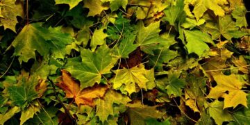 Афиша выходного дня: куда сходить в Самаре с 27 по 29 октября