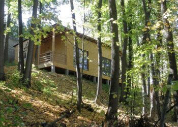 Самарские власти раздают участки в дачных массивах, даже не забрав их у прежних операторов