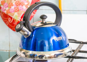 Опыт работы с потребителями газа Самарской области представлен на газовом форуме