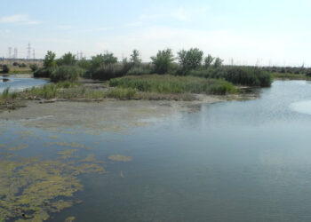 В Самарской области запустили ревизию малых рек, чтобы не допустить затопления весной