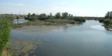 В Самарской области запустили ревизию малых рек, чтобы не допустить затопления весной