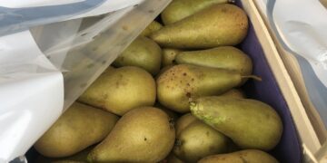 Самарская таможня перехватила 36 тонн контрафактных груш