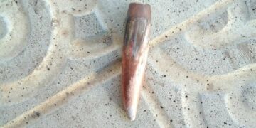 Поселок под Самарой уже два года обстреливают боевыми пулями, жители требуют остановить «террор»