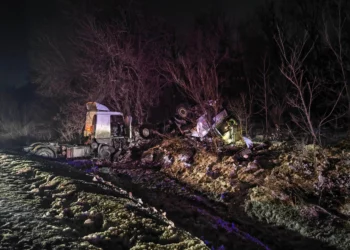 В Самарской области создали онлайн-карту самых опасных дорог, где происходят ДТП с дикими животными
