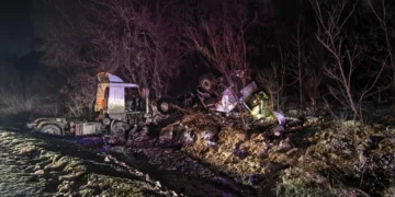 В Самарской области создали онлайн-карту самых опасных дорог, где происходят ДТП с дикими животными