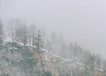 В Самарской области ожидается мокрый снег и шквалистый ветер