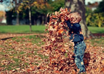 Афиша выходного дня: куда сходить в Самаре с 10 по 12 ноября