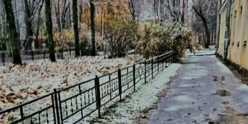 Рабочая неделя в Самарской области начнется дождями и закончится гололедицей