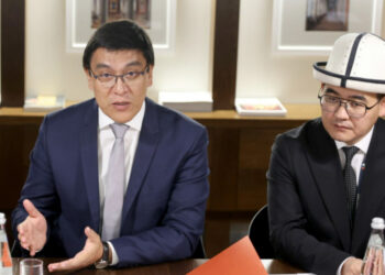 Вице-премьер Киргизии предложил России обеспечить киргизских мигрантов полисами ОМС