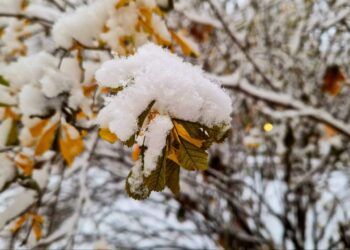 На выходных антициклон накроет Самару новыми снегопадами