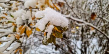 На выходных антициклон накроет Самару новыми снегопадами