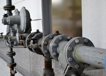 Фото: F. Muhammad: Pixabay