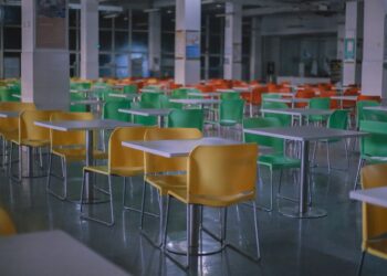 Аутсорсинг школьного питания может помочь снизить число нарушителей норм до 53%