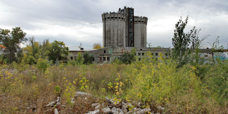 Фото: Игорь Горшков