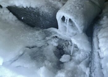 ТОП-5 новостей недели: Общество