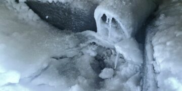 ТОП-5 новостей недели: Общество