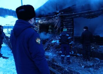 В Самарской области на пожаре погибли муж, жена и их маленький ребенок