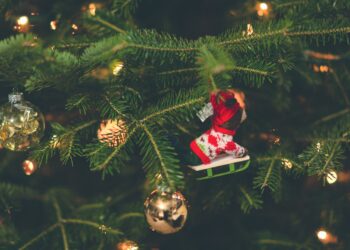 Куда пойти в Самаре на Новогодних праздниках всей семьей бесплатно