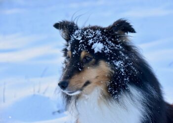 Афиша выходного дня: куда сходить в Самаре с 19 по 21 января