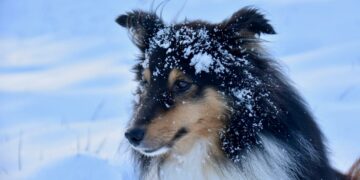 Афиша выходного дня: куда сходить в Самаре с 19 по 21 января