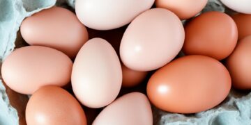 Минсельхоз РФ обещает снижение цен на яйца