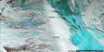 ТОП-5 новостей недели: Общество