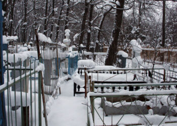 Тольяттинские «ритуальщики» ответят за побоище над раскопанной могилой