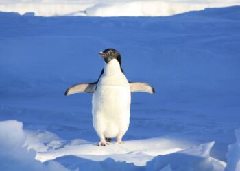 Афиша выходного дня: куда сходить в Самаре с 9 по 11 февраля