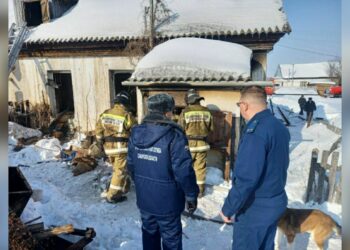 Из-за пожара в частном доме в Самарской области погибли три человека