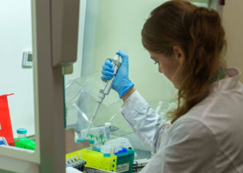 Цифровые сервисы Сбера могут повысить эффективность бизнес-процессов