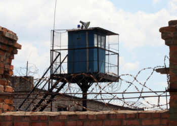 Самарских цыганок, зарабатывающих на маткапитале на нерожденных младенцев, начали сажать