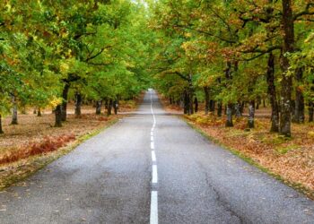 Самарских организаторов потока фальшивых денег через даркнет отправили в колонию надолго