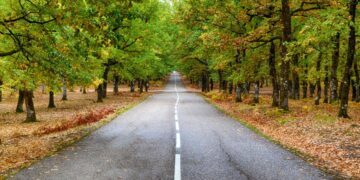 Самарских организаторов потока фальшивых денег через даркнет отправили в колонию надолго