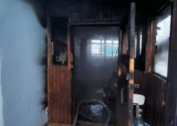 В Самарской области на пожаре погибли двое детей и их бабушка