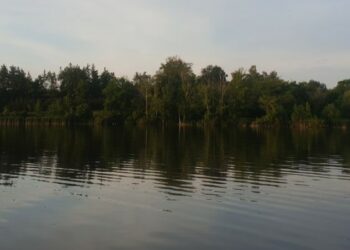 Самарского застройщика «Берег» лишили площадки у озера