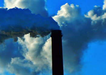 Директор «Нефтегазстройпроекта» рассчитается свободой за многомиллионную недоимку