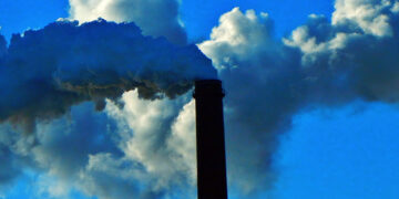 Директор «Нефтегазстройпроекта» рассчитается свободой за многомиллионную недоимку