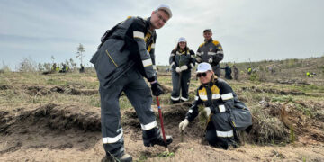 В Ставропольском районе Самарской области высадили 31 тысячу саженцев сосны