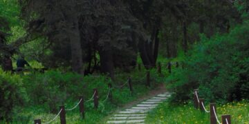 В Самаре открывается для посещений Ботанический сад