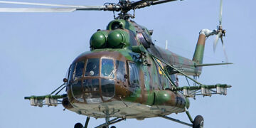 Самарские леса временно не рекомендуют посещать из-за опыления их химикатами 