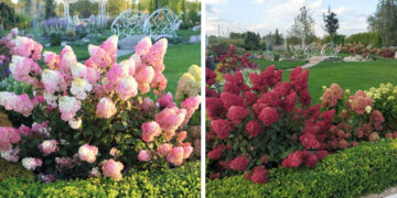 Самарские застройщики «вплетают» комфортную среду в проекты своих жилых комплексов