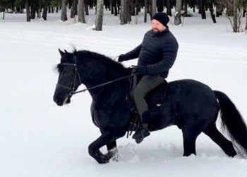 Отминусованный диссоветами создатель Корпорации «Кошелев» может сохранить научную степень