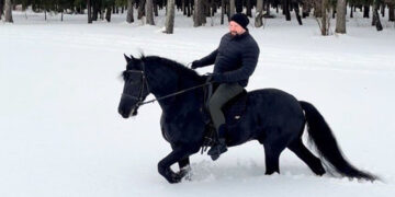 Отминусованный диссоветами создатель Корпорации «Кошелев» может сохранить научную степень