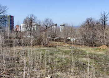 Самарские власти отыгрывают землю в Постниковом Овраге