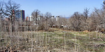 Самарские власти отыгрывают землю в Постниковом Овраге