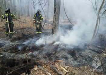 В Тольятти 17 апреля разгорелся первый в году лесной пожар