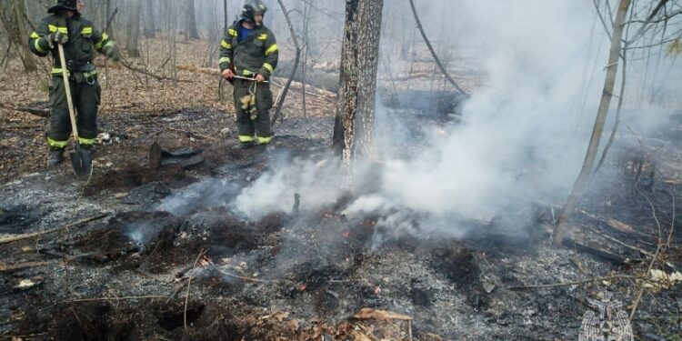 Лесной пожар в Тольятти, фото: ГУ МЧС РФ по Самарской области