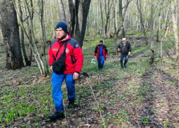 В Самарской области в лесу Сергиевского района заблудился пожилой грибник